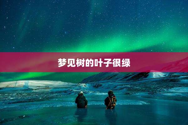 梦见树的叶子很绿