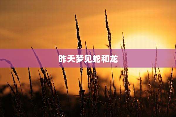 昨天梦见蛇和龙