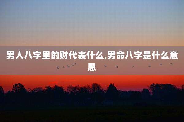 男人八字里的财代表什么,男命八字是什么意思