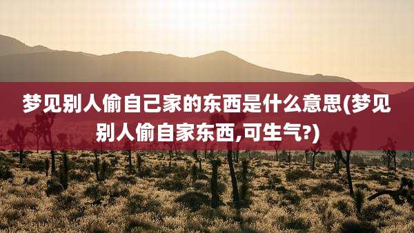 梦见别人偷自己家的东西是什么意思(梦见别人偷自家东西,可生气?)