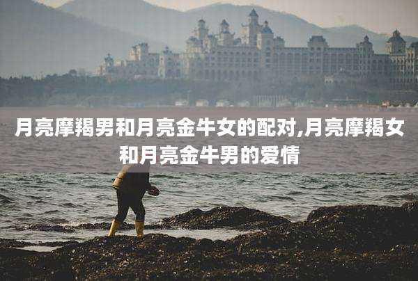 月亮摩羯男和月亮金牛女的配对,月亮摩羯女和月亮金牛男的爱情