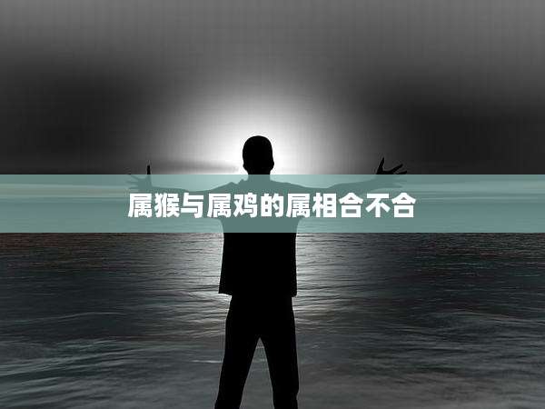 属猴与属鸡的属相合不合