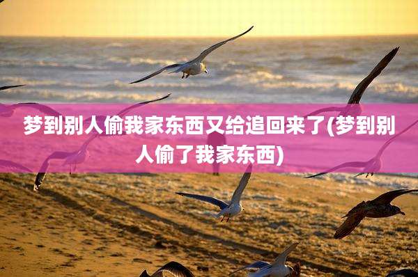 梦到别人偷我家东西又给追回来了(梦到别人偷了我家东西)