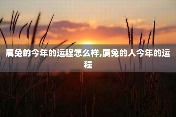 属兔的今年的运程怎么样,属兔的人今年的运程