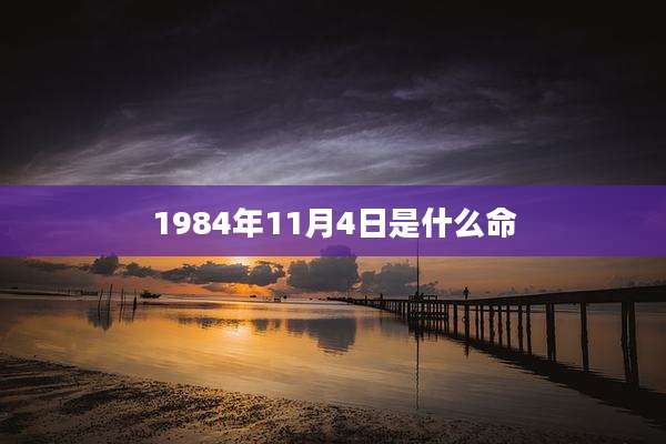 1984年11月4日是什么命