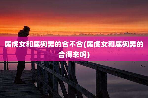 属虎女和属狗男的合不合(属虎女和属狗男的合得来吗)