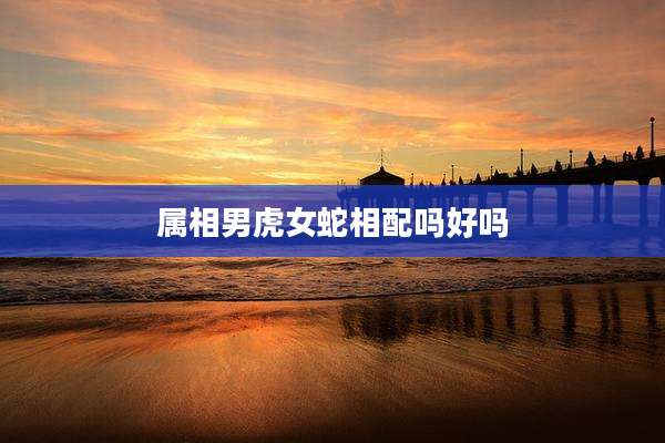 属相男虎女蛇相配吗好吗