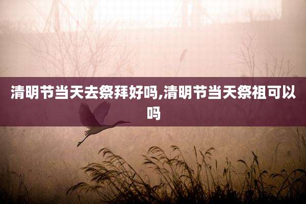清明节当天去祭拜好吗,清明节当天祭祖可以吗