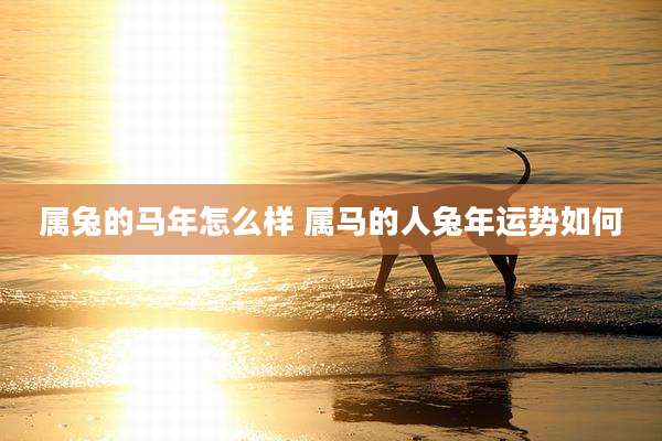 属兔的马年怎么样 属马的人兔年运势如何