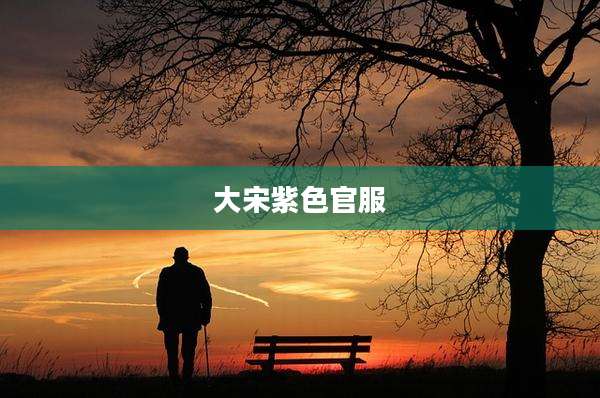 大宋紫色官服