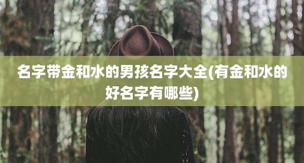 名字带金和水的男孩名字大全(有金和水的好名字有哪些)