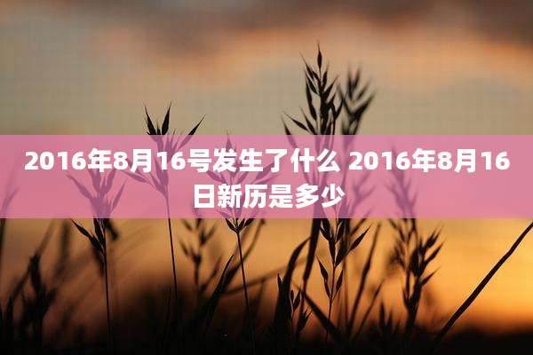 2016年8月16号发生了什么 2016年8月16日新历是多少