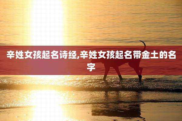 辛姓女孩起名诗经,辛姓女孩起名带金土的名字