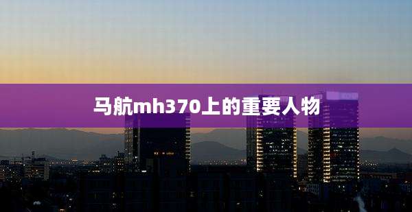 马航mh370上的重要人物