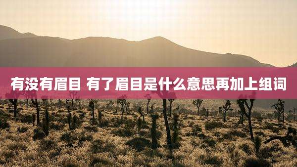 有没有眉目 有了眉目是什么意思再加上组词