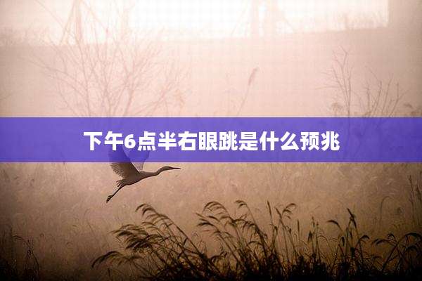 下午6点半右眼跳是什么预兆
