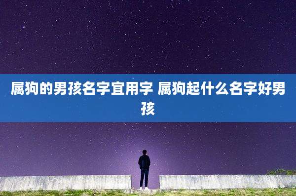 属狗的男孩名字宜用字 属狗起什么名字好男孩
