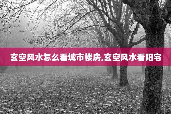 玄空风水怎么看城市楼房,玄空风水看阳宅