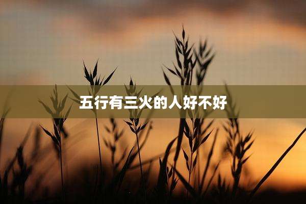 五行有三火的人好不好