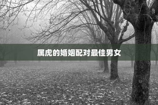 属虎的婚姻配对最佳男女