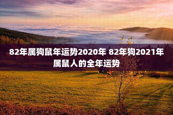 82年属狗鼠年运势2020年 82年狗2021年属鼠人的全年运势