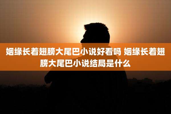 姻缘长着翅膀大尾巴小说好看吗 姻缘长着翅膀大尾巴小说结局是什么