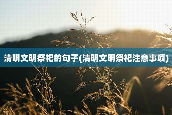 清明文明祭祀的句子(清明文明祭祀注意事项)