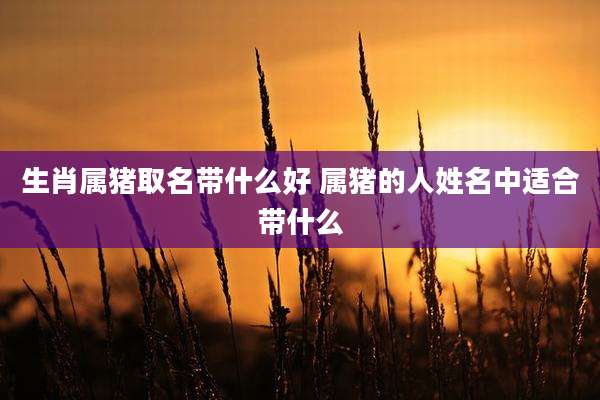 生肖属猪取名带什么好 属猪的人姓名中适合带什么