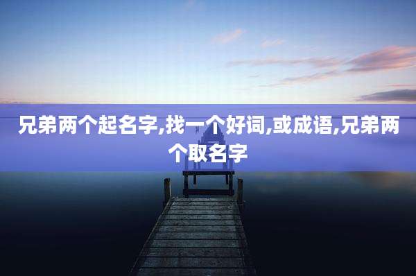 兄弟两个起名字,找一个好词,或成语,兄弟两个取名字