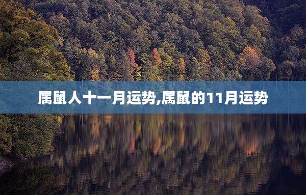 属鼠人十一月运势,属鼠的11月运势