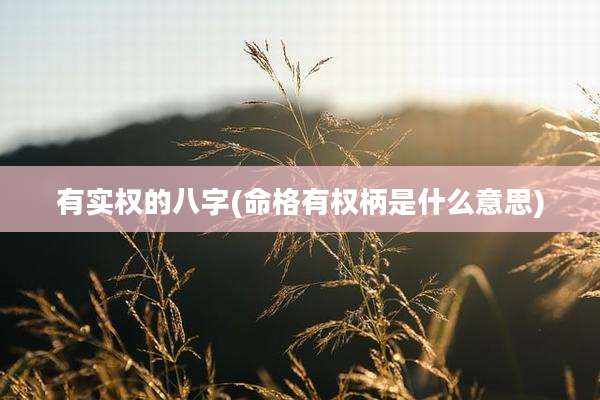 有实权的八字(命格有权柄是什么意思)