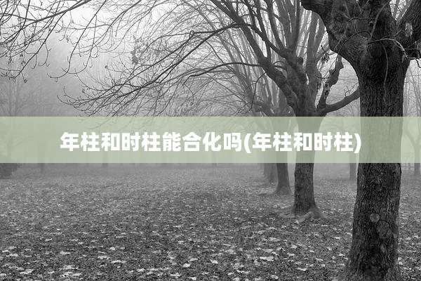 年柱和时柱能合化吗(年柱和时柱)