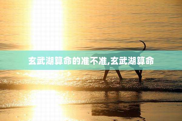 玄武湖算命的准不准,玄武湖算命