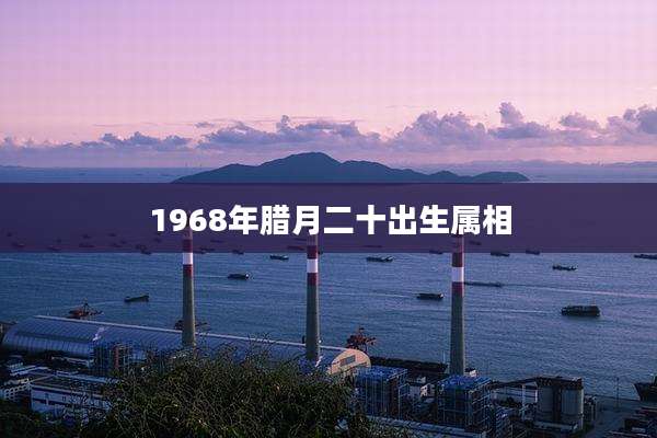1968年腊月二十出生属相