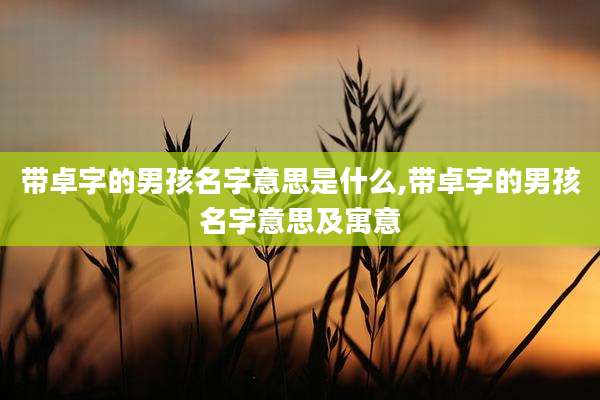 带卓字的男孩名字意思是什么,带卓字的男孩名字意思及寓意