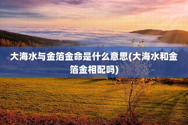 大海水与金箔金命是什么意思(大海水和金箔金相配吗)