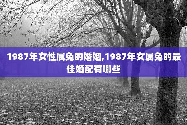1987年女性属兔的婚姻,1987年女属兔的最佳婚配有哪些