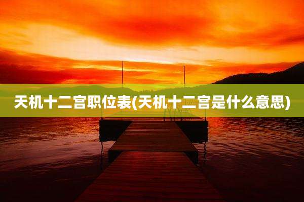 天机十二宫职位表(天机十二宫是什么意思)