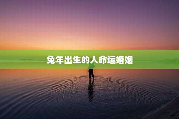 兔年出生的人命运婚姻