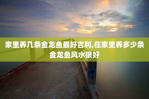 家里养几条金龙鱼最好吉利,在家里养多少条金龙鱼风水很好