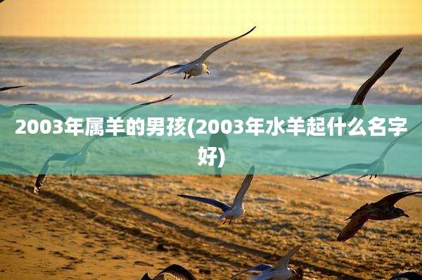 2003年属羊的男孩(2003年水羊起什么名字好)