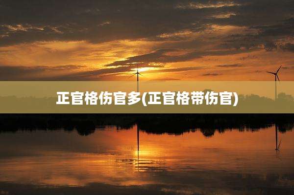 正官格伤官多(正官格带伤官)
