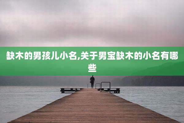 缺木的男孩儿小名,关于男宝缺木的小名有哪些