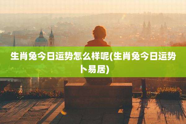 生肖兔今日运势怎么样呢(生肖兔今日运势卜易居)