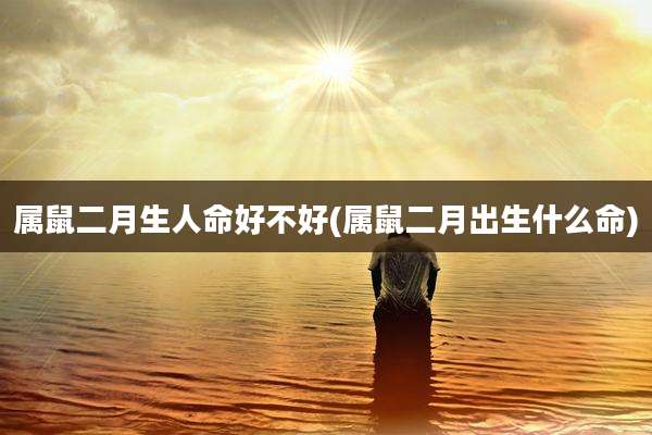 属鼠二月生人命好不好(属鼠二月出生什么命)