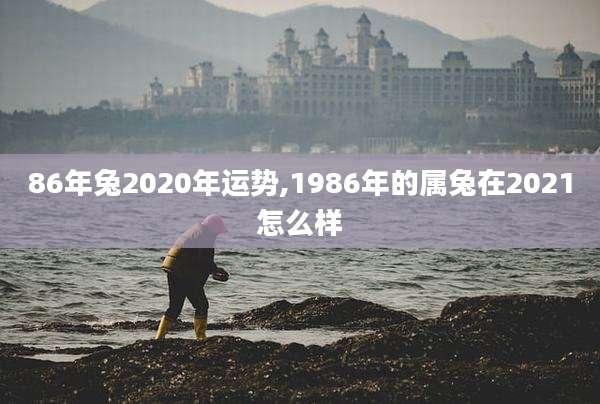 86年兔2020年运势,1986年的属兔在2021怎么样