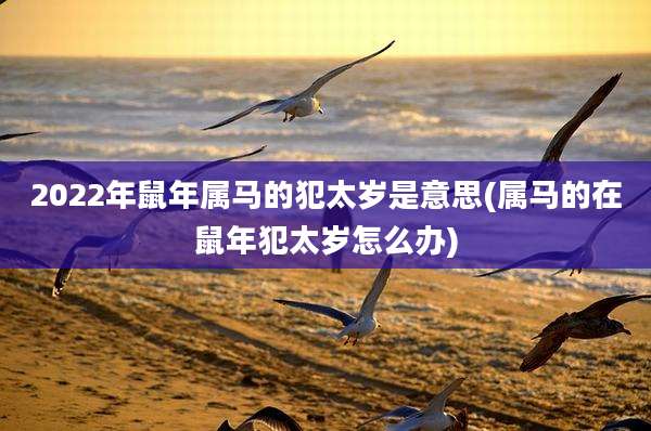 2022年鼠年属马的犯太岁是意思(属马的在鼠年犯太岁怎么办)
