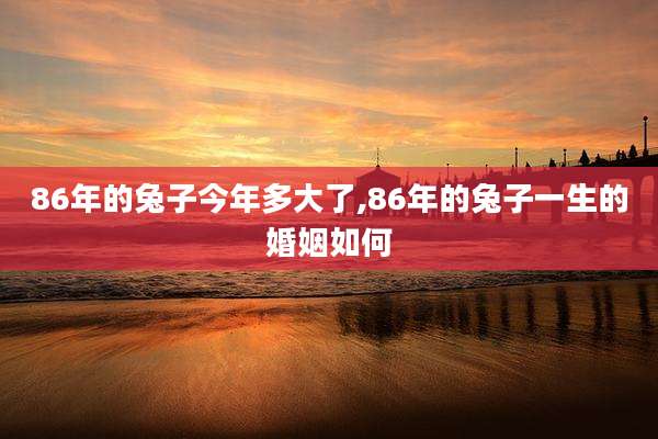 86年的兔子今年多大了,86年的兔子一生的婚姻如何