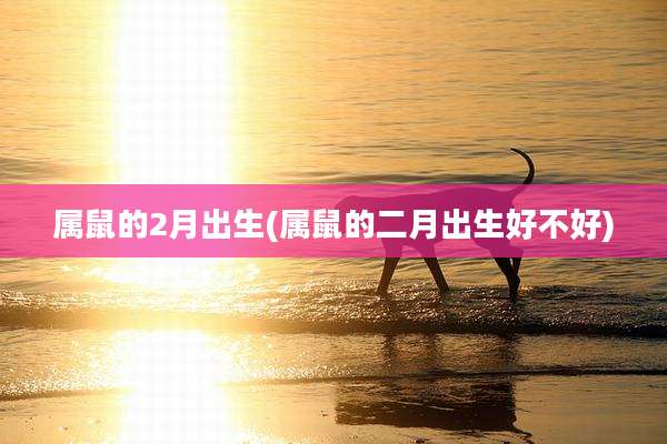 属鼠的2月出生(属鼠的二月出生好不好)
