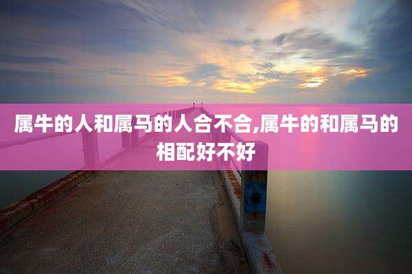 属牛的人和属马的人合不合,属牛的和属马的相配好不好